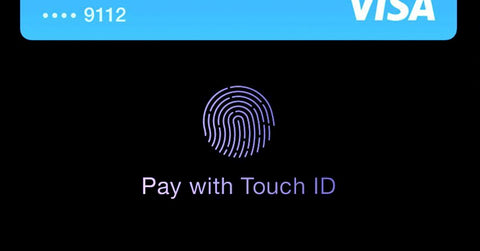 apple pay touch id