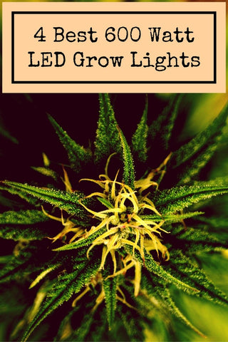 Best 600 Watt LED Grow Lights