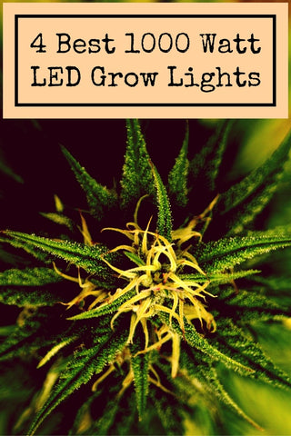 Best 1000 Watt LED Grow Lights