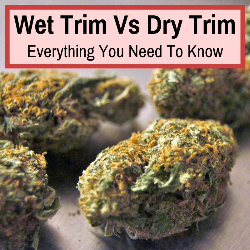 Dry trimming vs wet trimming
