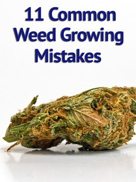 common marijuana growing mistakes