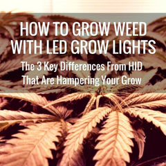 How to grow weed with LED grow lights