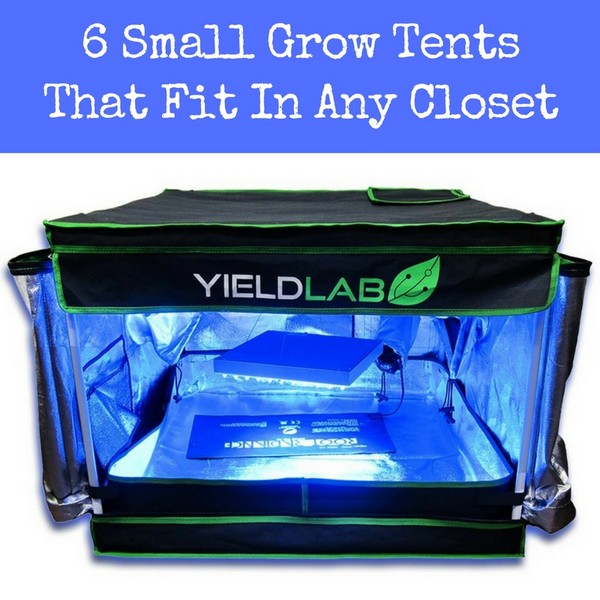 Small grow tent for any closet