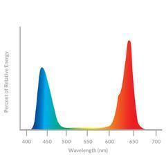 Solar System 1100 spectrum