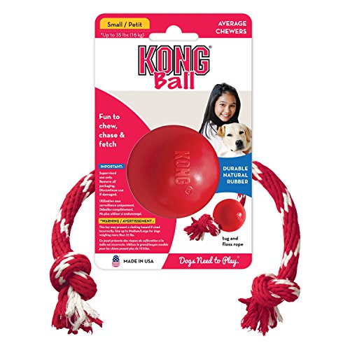 kong ball with rope dog toy