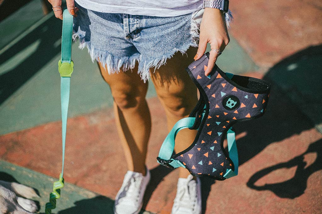 Girl holding a Triangles Mesh Plus Dog Harness | Zee.Dog
