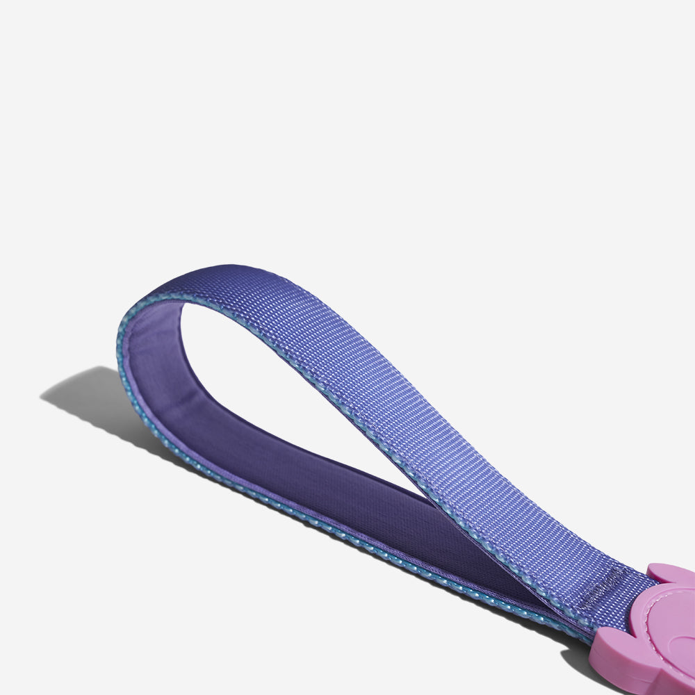 Aurora | The Ruff Leash