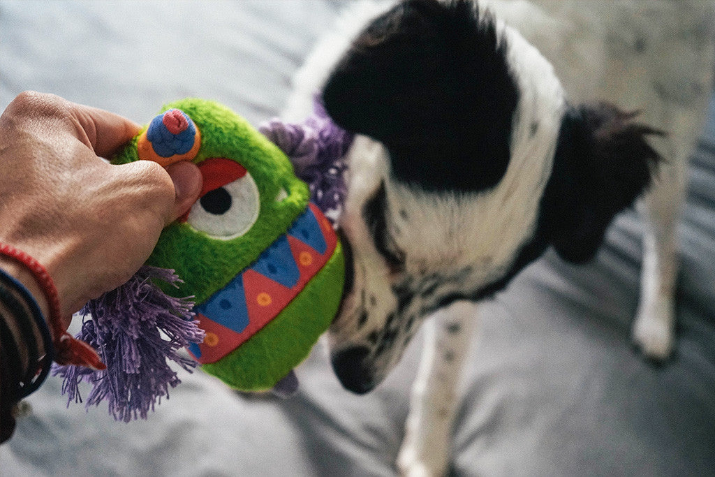 Alien Flex Flo | Canvas Plush Dog Toy