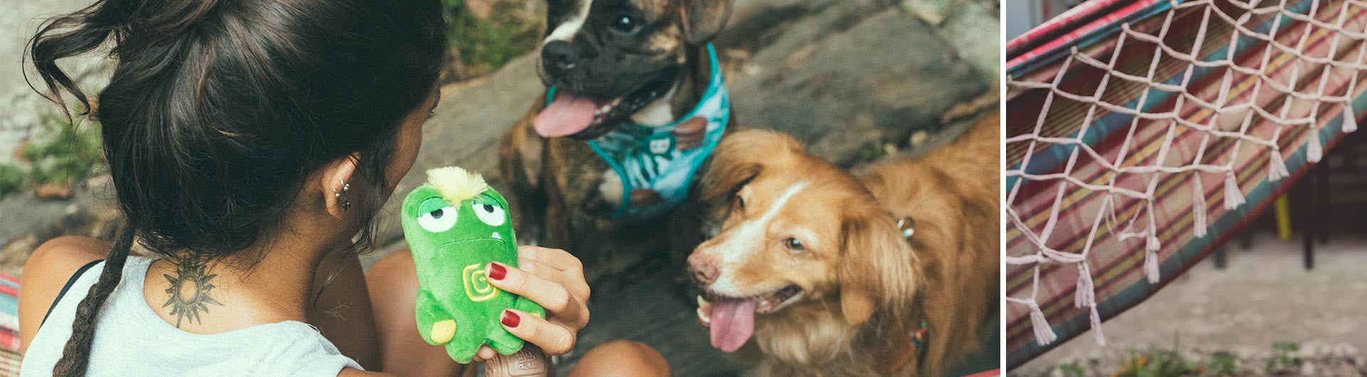 Gro Mini Plush Dog Toy | Zee.Dog
