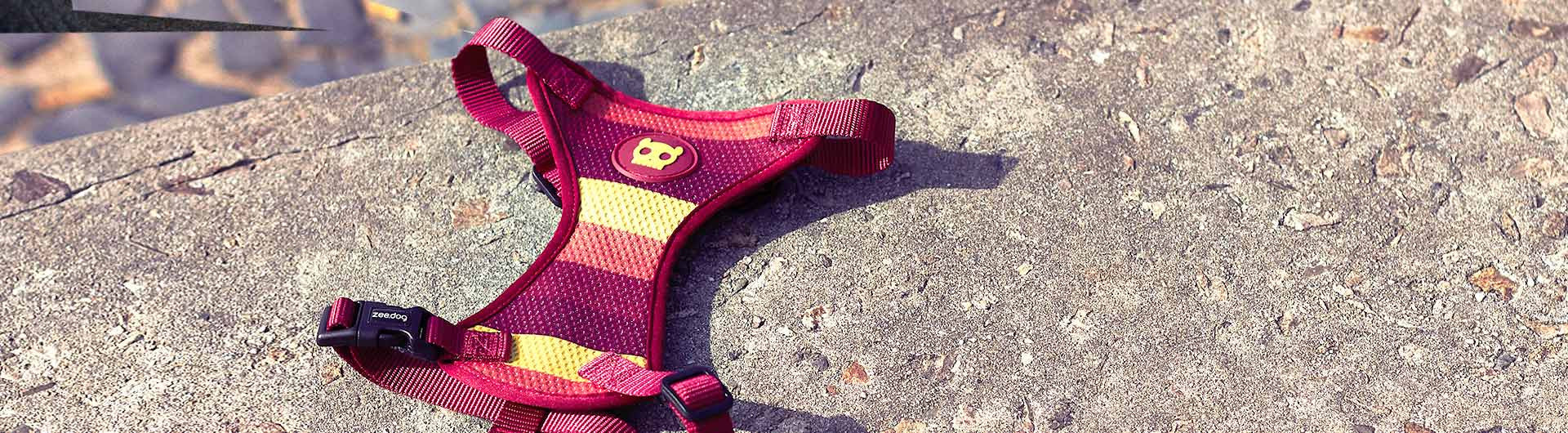Venice air mesh dog harness | Zee.Dog