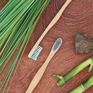 The Future Is Bamboo Toothbrushes