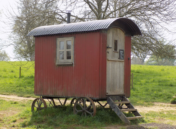 Letter Writing Shed