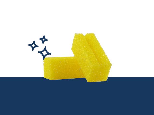 Fenwick's Chain Sponge