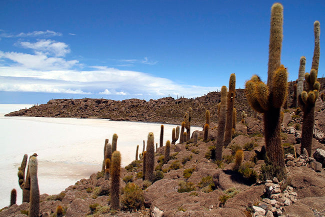 Coral island of Isla Incashuasi