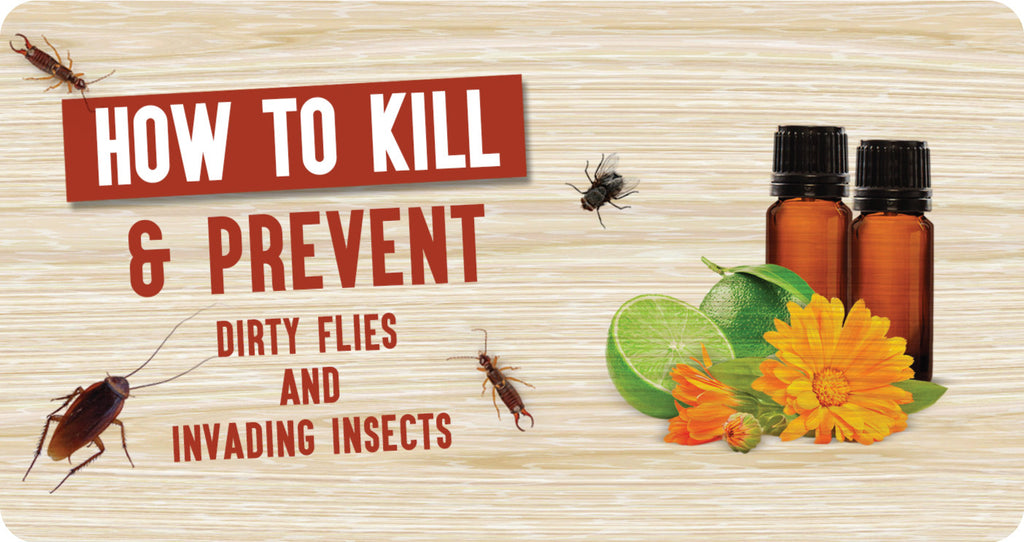 Kill Flies Insects Without Toxic Chemicals Use Pure Essential