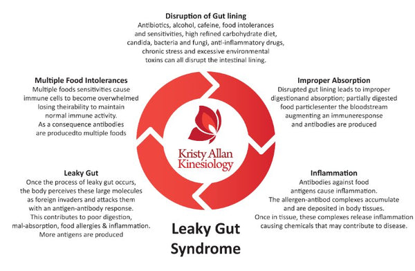 Leaky Gut