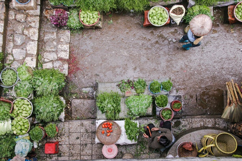 Sapa Markets