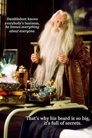 dumbledore harry potter beard secret