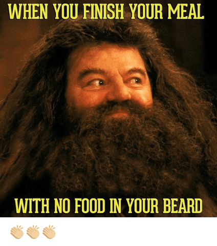 hagrid harry potter beard
