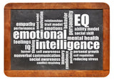 Emotional Intelligence