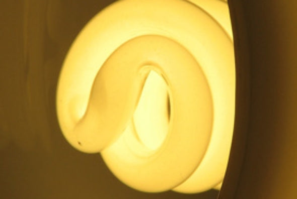 Researchers have found that ultraviolet radiation seeping through CFLs may damage skin cells.