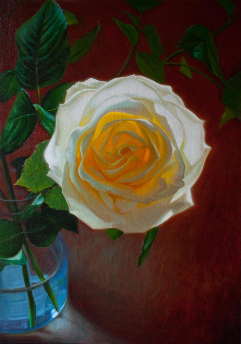 Oil painting of a white rose by Vincent Keeling called Solar Rose II