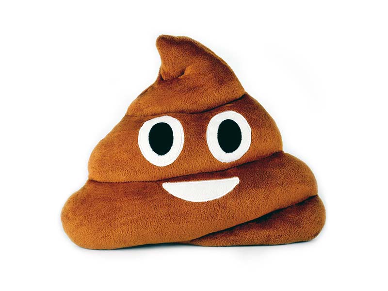 Poo Emoji Pillow