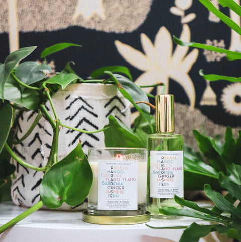 Dolkii x Jules and Gem Home Fragrances - Paradise