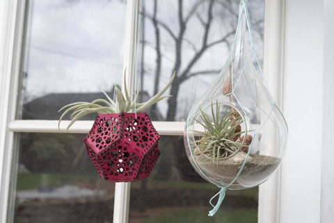 Hand and Hide Leather Airplant Holder