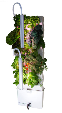 Vertical-Hydroponic-Garden-Inddor-Veggie-Wall