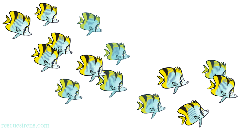 Butterfly fish drawn by Chris Sanders