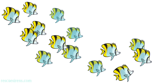 Butterfly fish drawn by Chris Sanders