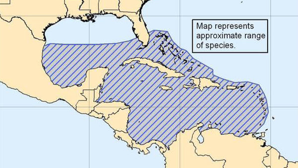 Map courtesy of NOAA's NMFS