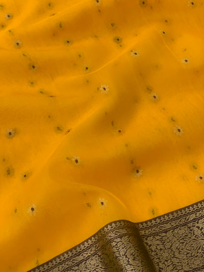 Chanderi Kora Saree Mustard In Colour