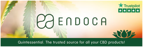 Endoca CBD Oil For Sale in the UK - PRemier Seller 