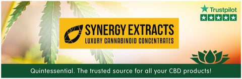 Synergy-extracts-banner-quintessential-cbd-oils-uk
