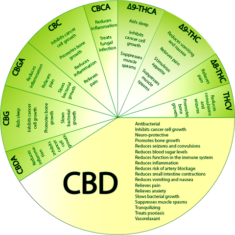 CBG information Cannabinoids UK