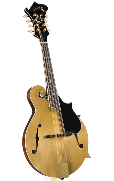 Kentucky KM-858 F-Style mandolin