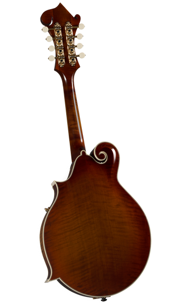 Kentucky KM-858 gold top mandolin