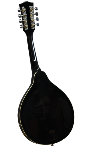 Rover RM_25E Acoustic Electric mandolin back