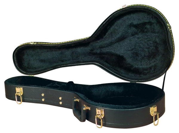 golden gate a model mandolin case