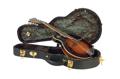 guardian the loar mandolin case