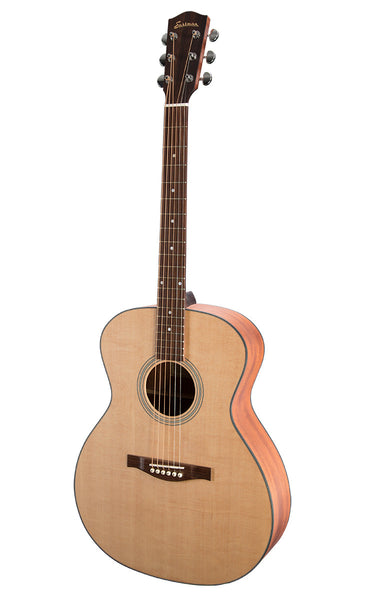 eastman ac 122