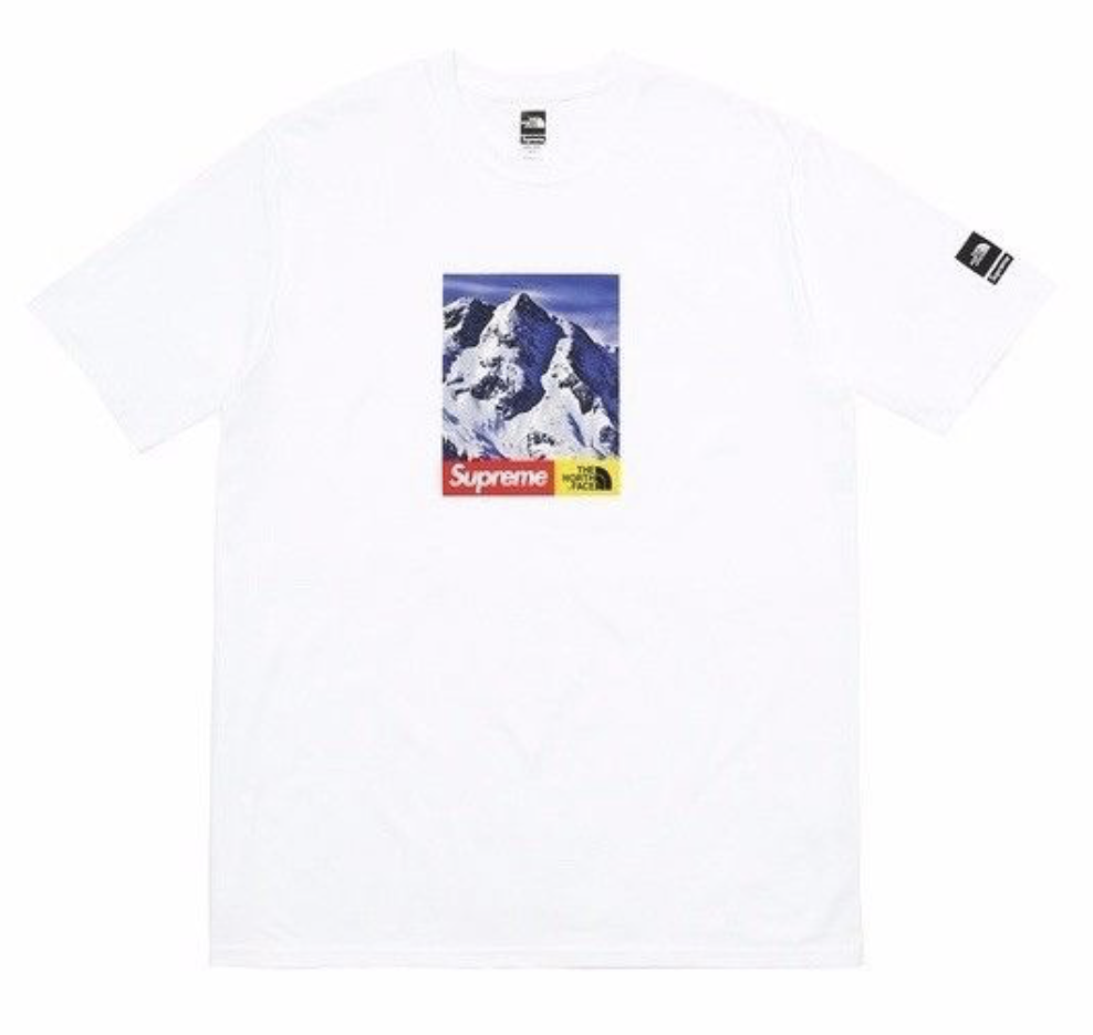 supreme x the north face photo tee