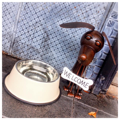 dog bowl