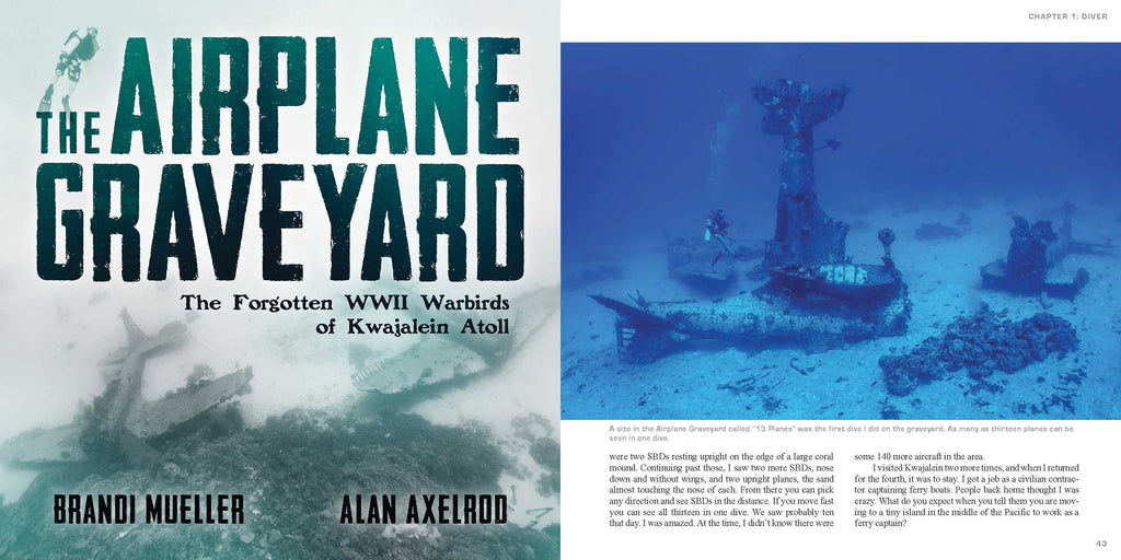 the Airplane Graveyard by Brandi Mueller