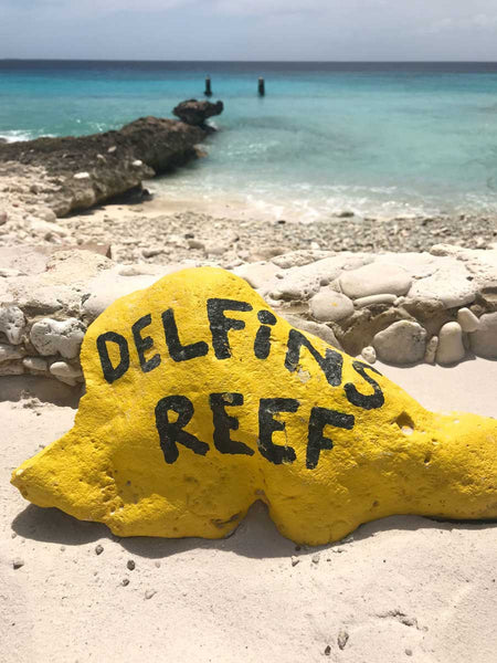 Bonaire Delfins Reef 