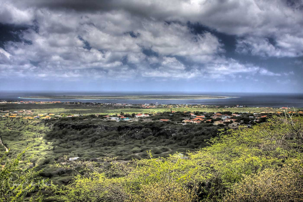 Bonaire Landscape Underwater by Steve Miller Ikelite