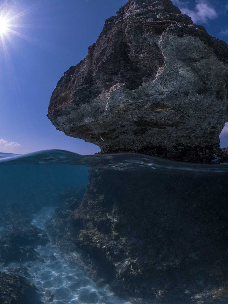 Panasonic GX85 Underwater Photo by Chase Darnell