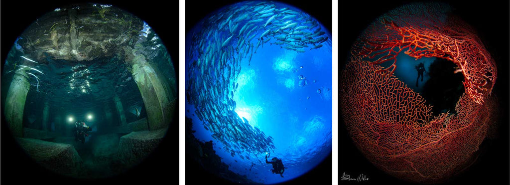 Examples of a Circular Fisheye Underwater